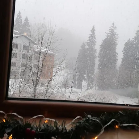 Lejlighed Evrika 5 Pamporovo